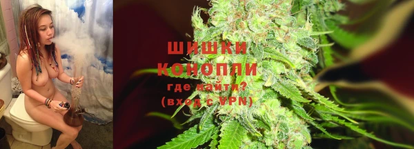 PSILOCYBIN Богородск