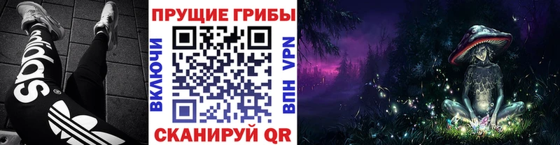 как найти закладки  Малгобек  Галлюциногенные грибы GOLDEN TEACHER 